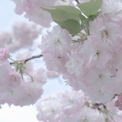 满城FurryQQ群介绍